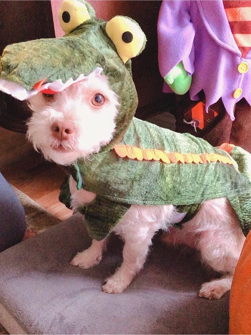 Bootique Petco Later Gator Alligator Dog Costume Size Small